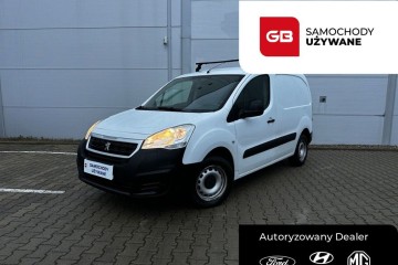 1.6 HDI 100KM Active Salon PL VAT-marża