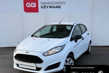 1.25 EcoBoost 82KM MT5 Ambiente Salon PL FV23%