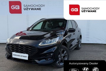 ST-LINE | Salon PL | Gwarancja producenta | pakiet serwisowy